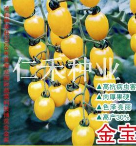 金寶