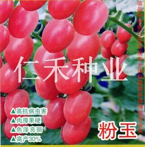 粉玉