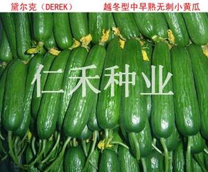 戴爾(DAER)